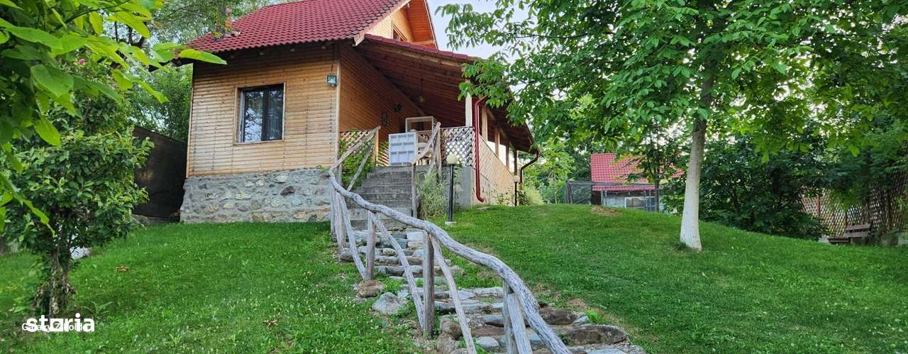 Vila Horezu Romanii de Jos-13