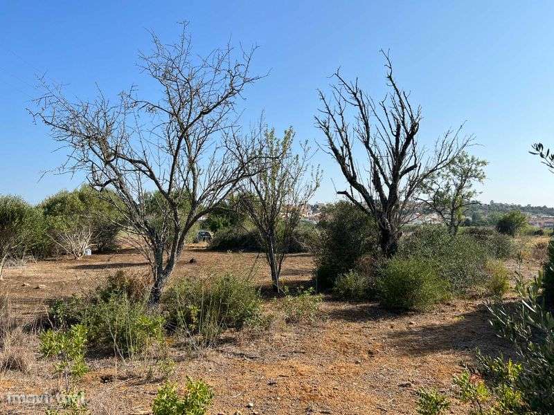 Terreno rústico sito junto à zona urbana de Algoz - Grande imagem: 5/12