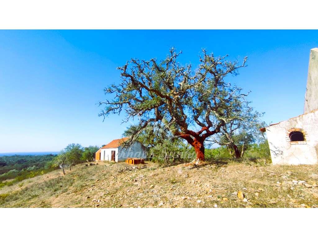 Monte Alentejano - Grande imagem: 2/24