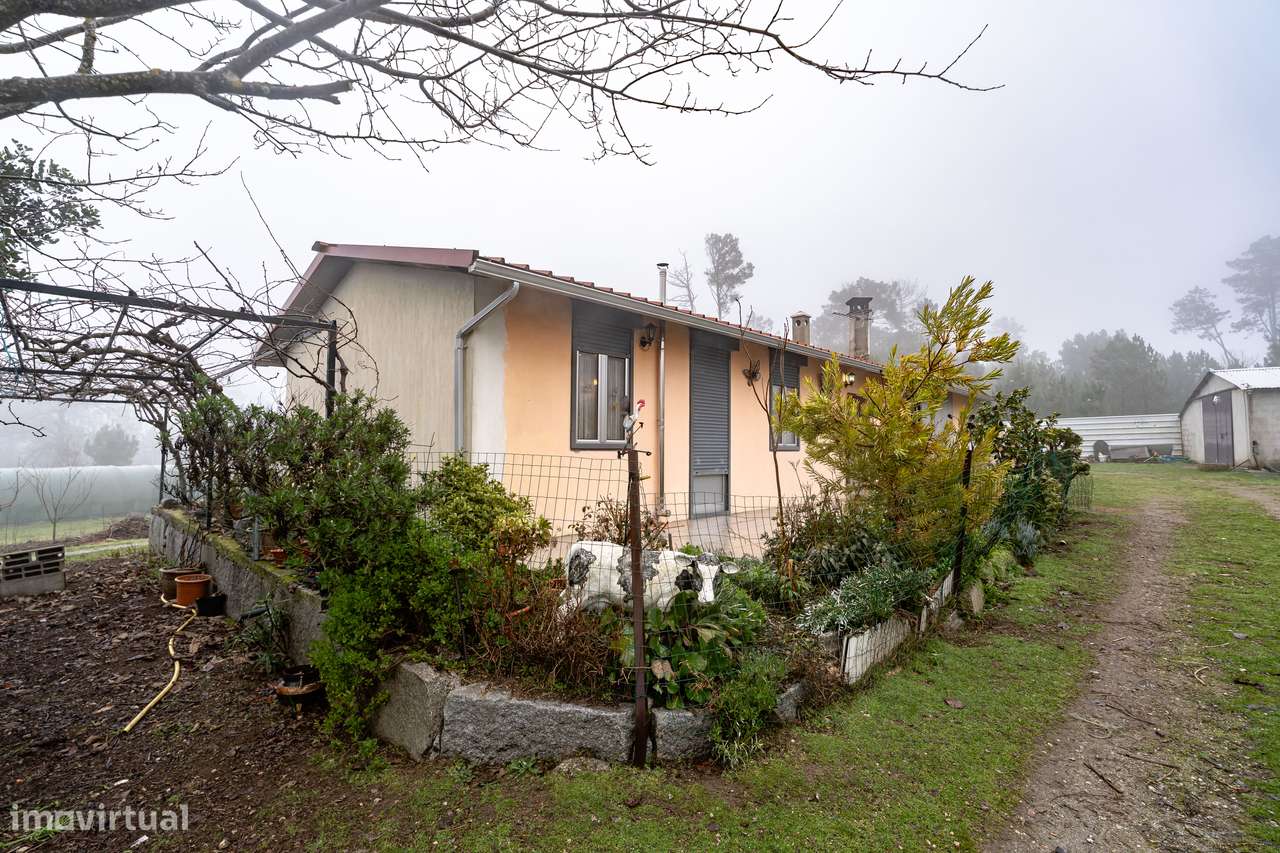 Quinta com Moradia T2 | Fornos de Algodres-16