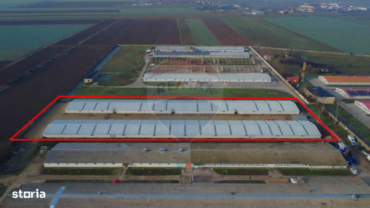 De vânzare – 2 hale industriale, 5.050 mp utili, Palota - Imagine principală: 4/15