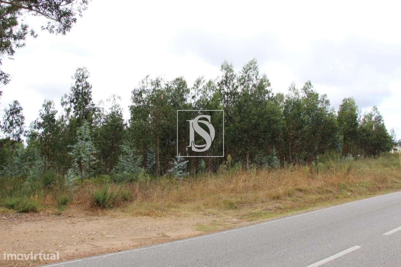 Terreno com 16.145m2 em Campo de Besteiros - Grande imagem: 4/5