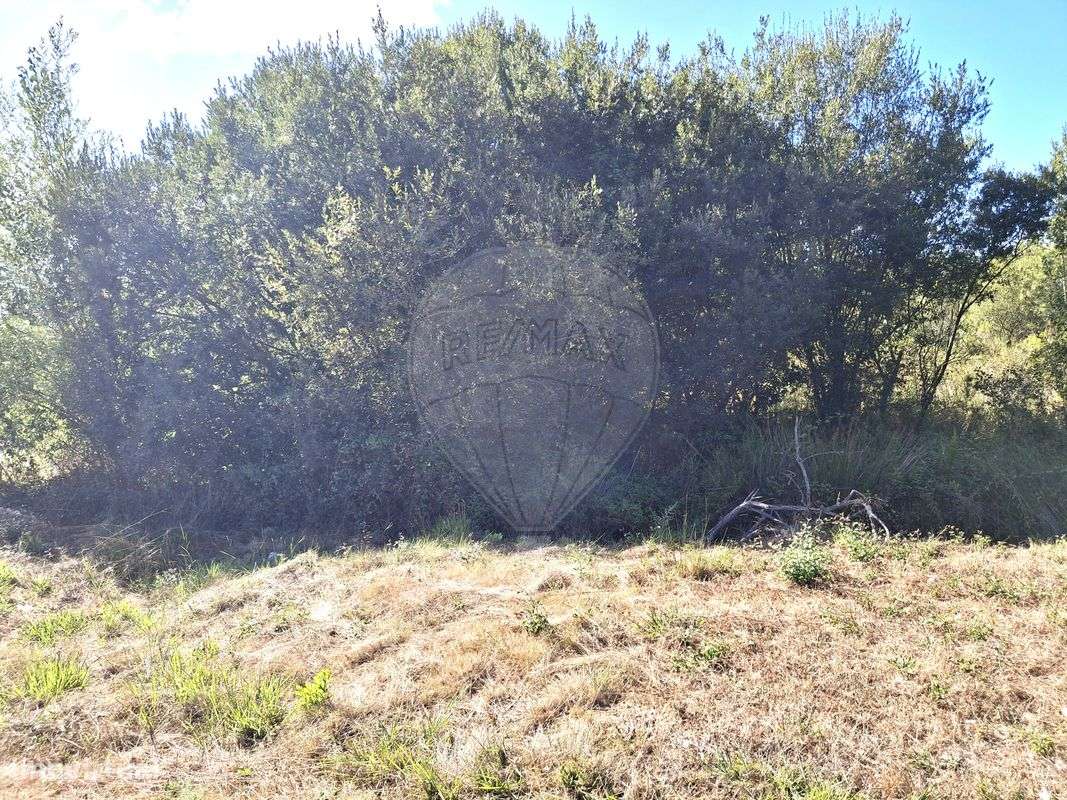 Terreno  para venda - Grande imagem: 5/6