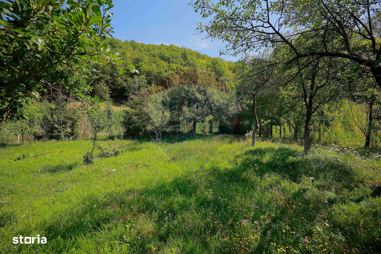 De vânzare Casǎ de Vacanțǎ cu 3 camere, teren 1146 mp, Budureasa - Imagine principală: 5/19