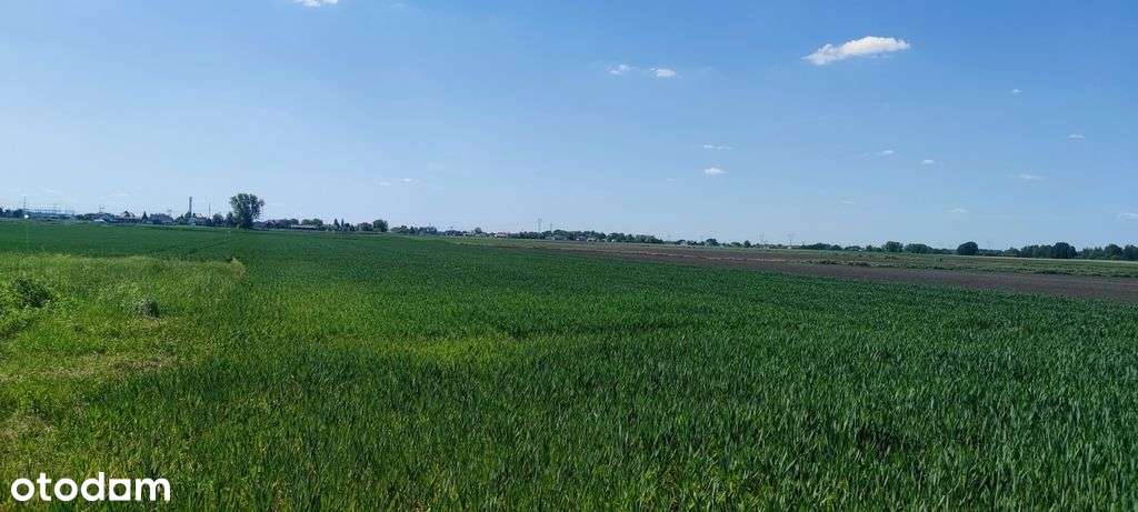 Borzęcin Duży działka budowlana blisko szkoły.-9