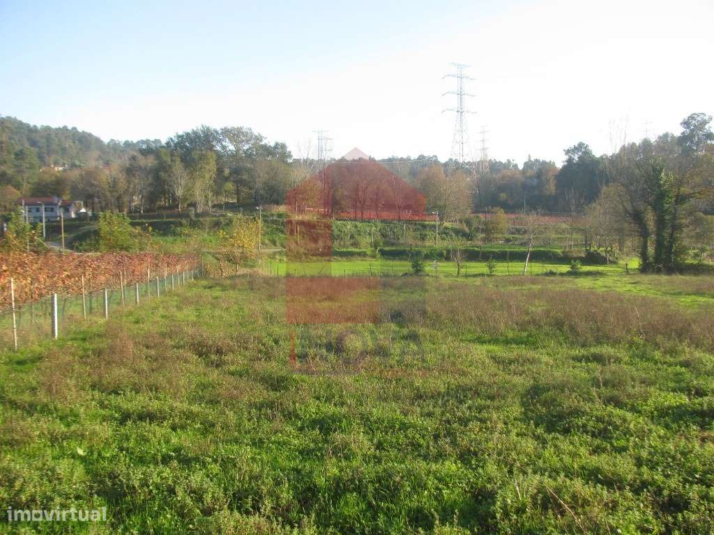 Terreno agrícola em Fiscal, Amares - Grande imagem: 4/12