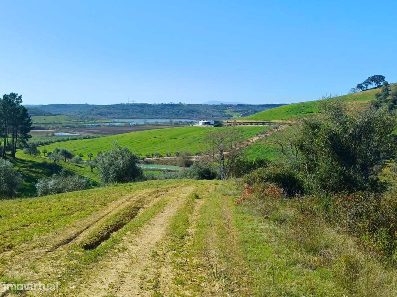 Terreno Rústico com 2 hectares - Grande imagem: 5/9