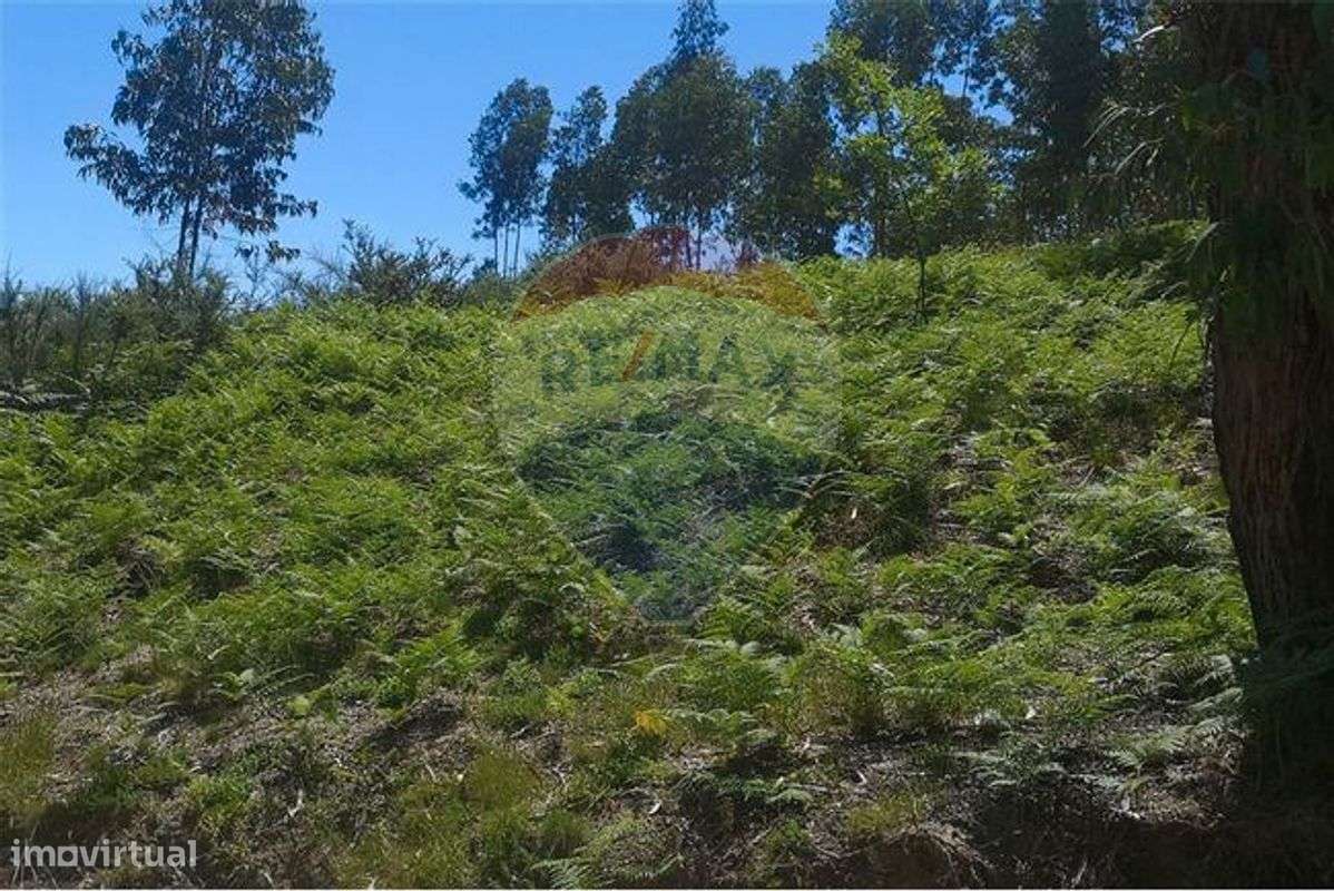 Terreno  para venda - Grande imagem: 3/4