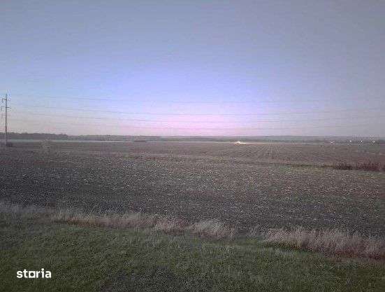 Teren extravilan cota parte 1/5, Golaiesti, ID: R2838330-3