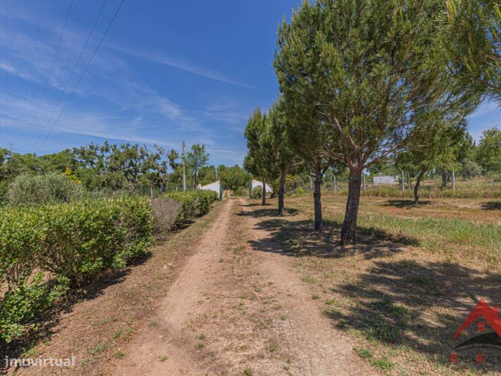 Herdade do Barranco-26