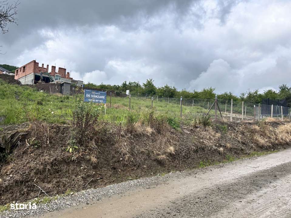 TEREN INTRAVILAN DE VANZARE  LA IESIREA DIN VIISOARA 2000 MP - Imagine principală: 3/3