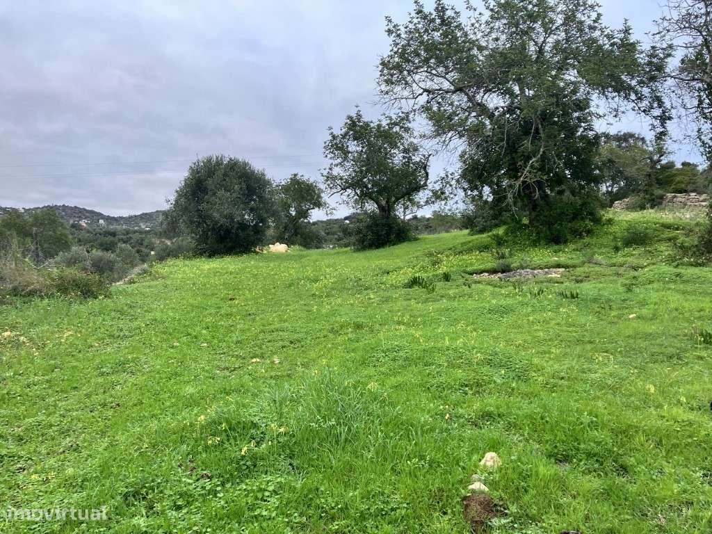 Terreno Rústico em Bordeira - Grande imagem: 2/6