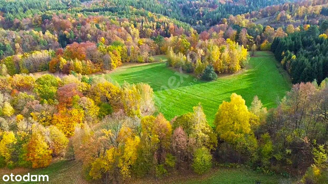 Inwestycja na górskim zboczu - Podgórzyn - Pełny obrazek: 4/7