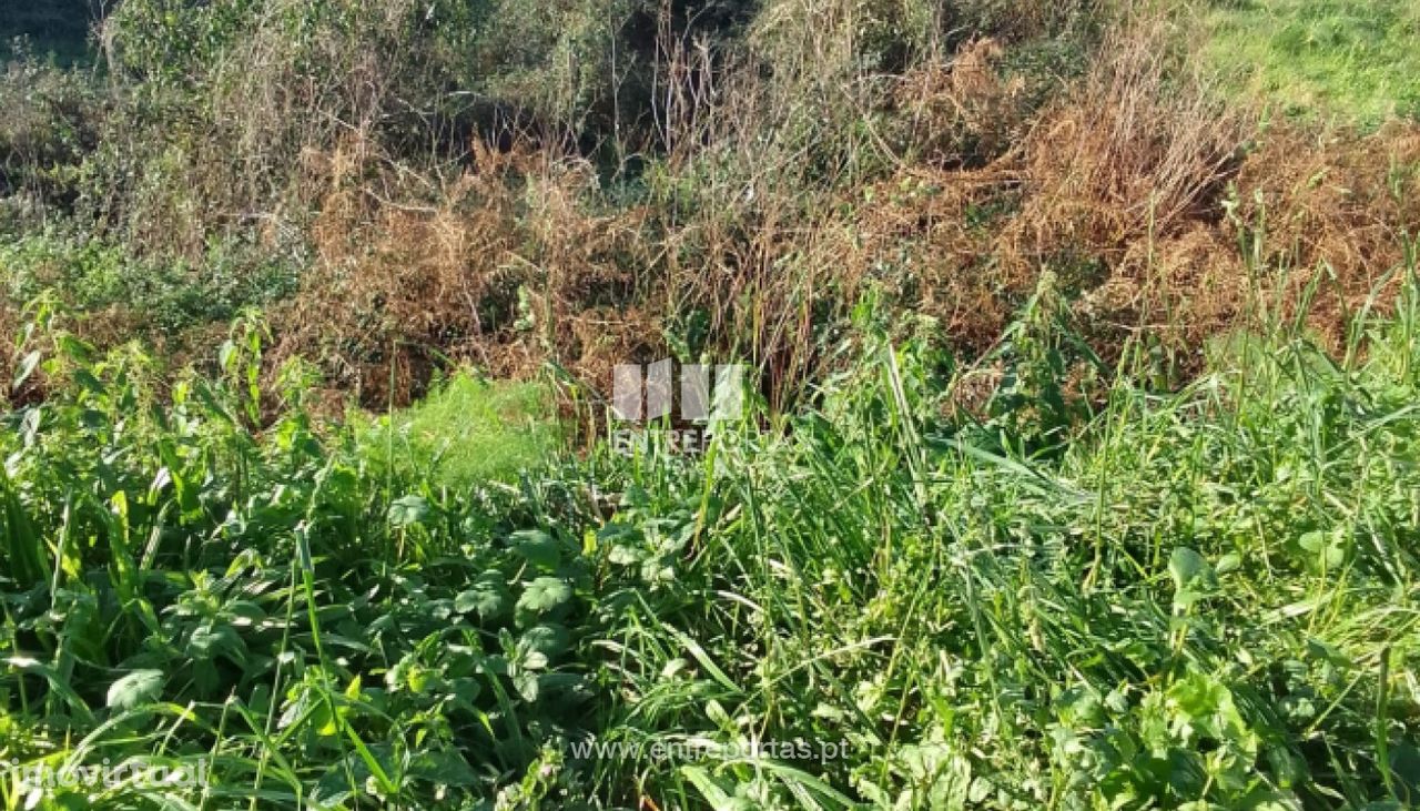 Venda de Terreno para construção, Deocriste, Viana do Castelo