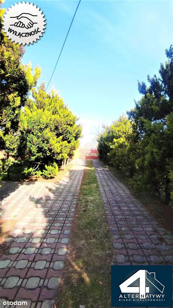 Duży dom dla rodziny bądź pod działalność - Pełny obrazek: 3/12