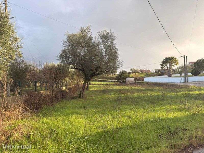 Terreno para Construção em Tomar (Minjoelho) – 2200m² – Excelente - Grande imagem: 4/12