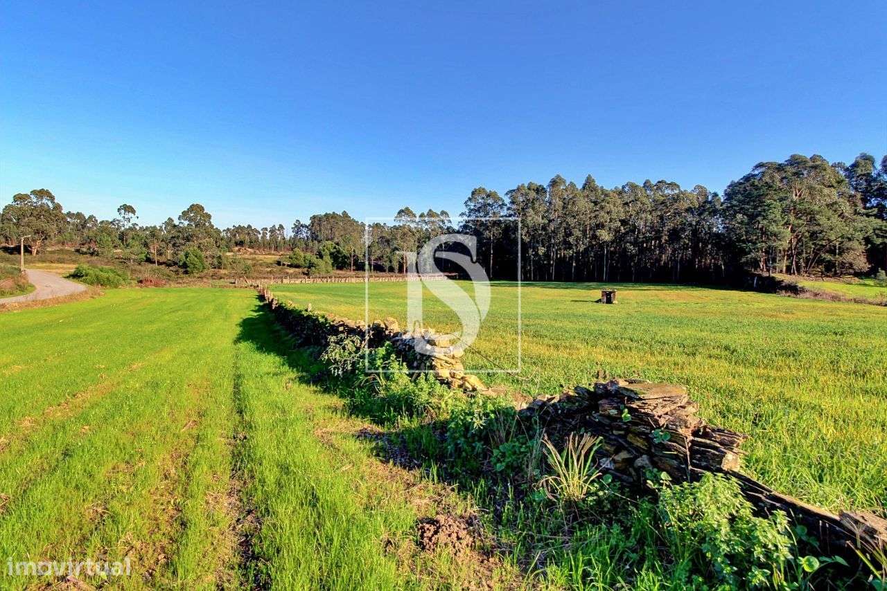 Terreno – Laúndos – Póvoa de Varzim - Grande imagem: 4/4