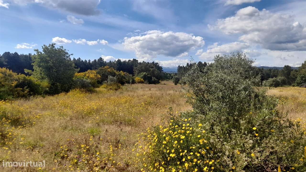Herdade T0 Venda em Enxames,Fundão - Grande imagem: 5/14