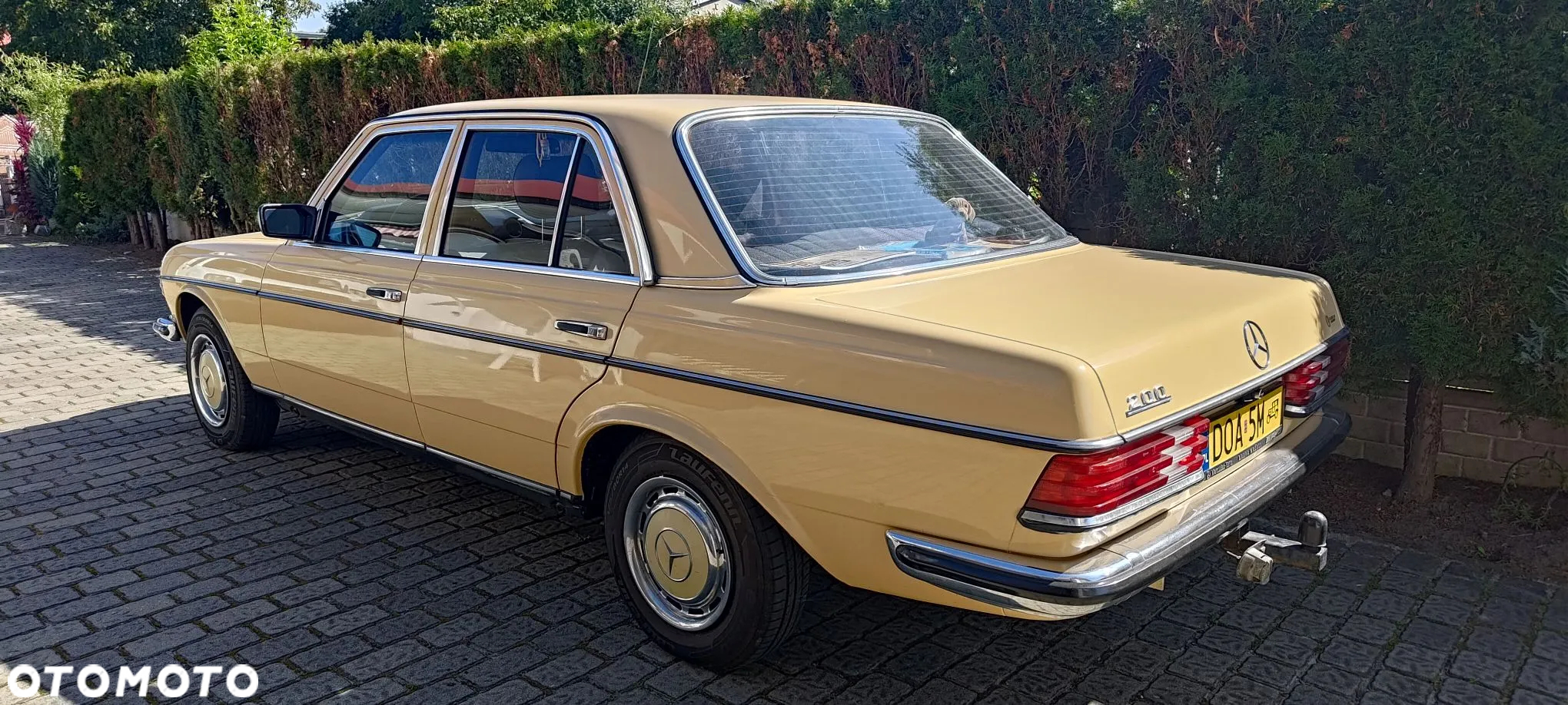 Mercedes-Benz W123 - 5