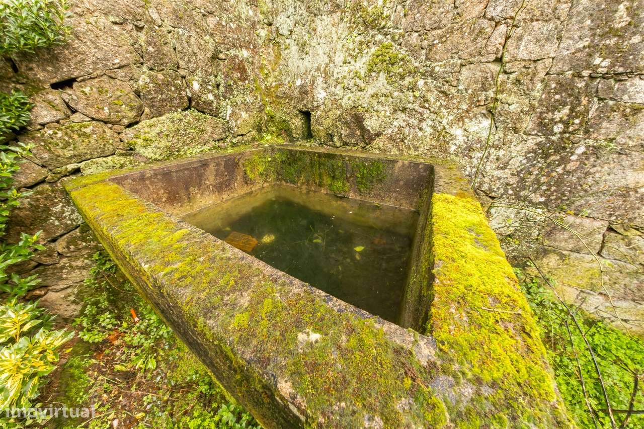 Moradia T6 Venda em Louriçal do Campo,Castelo Branco-59