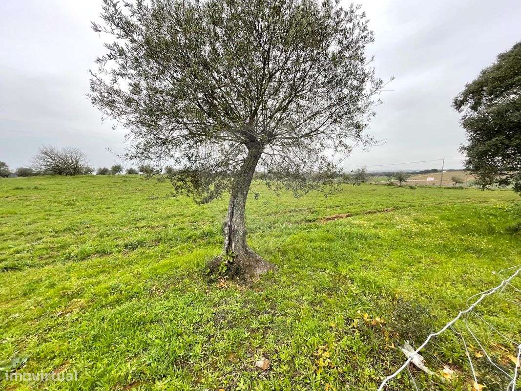 Terreno  para venda - Grande imagem: 2/7