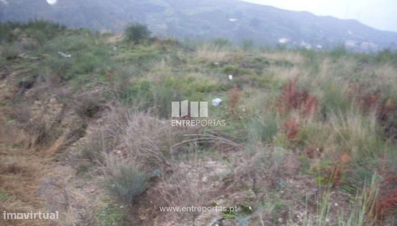 Venda Lote, Grilo, Baião - Grande imagem: 3/29