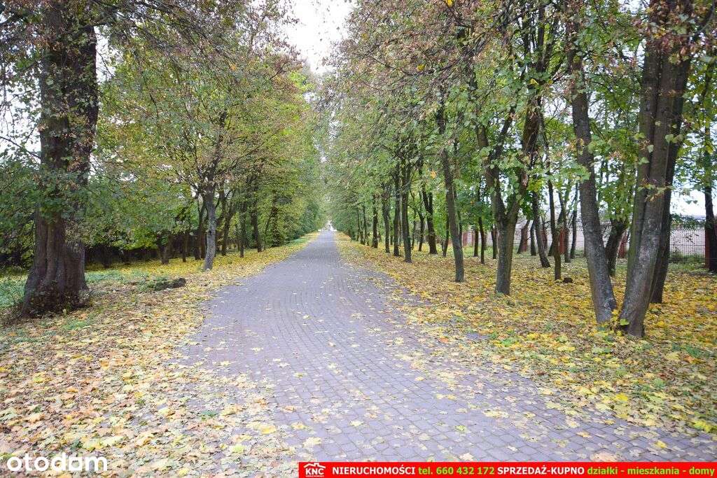 Zabytkowy Zespół Dworsko-Parkowy (XIXw. 1880 r) - Pełny obrazek: 4/20