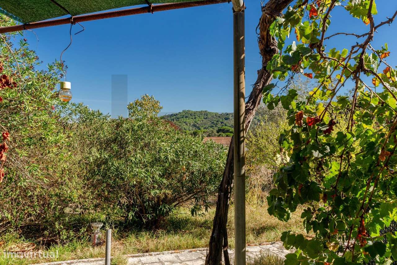 Moradia e Anexo para um Projeto Único na Natureza | Serra da Arrábida-55