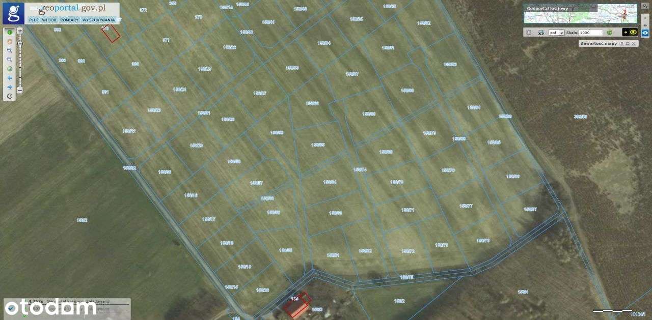 Ładne działki, las, jezioro-Nienawiszcz-PROMOCJA!!-3