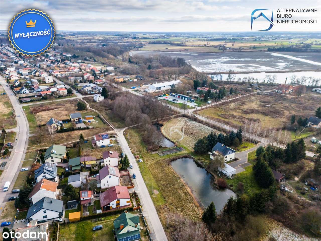 Działka budowlano-usługowa ze stawem - Kock - Pełny obrazek: 3/15