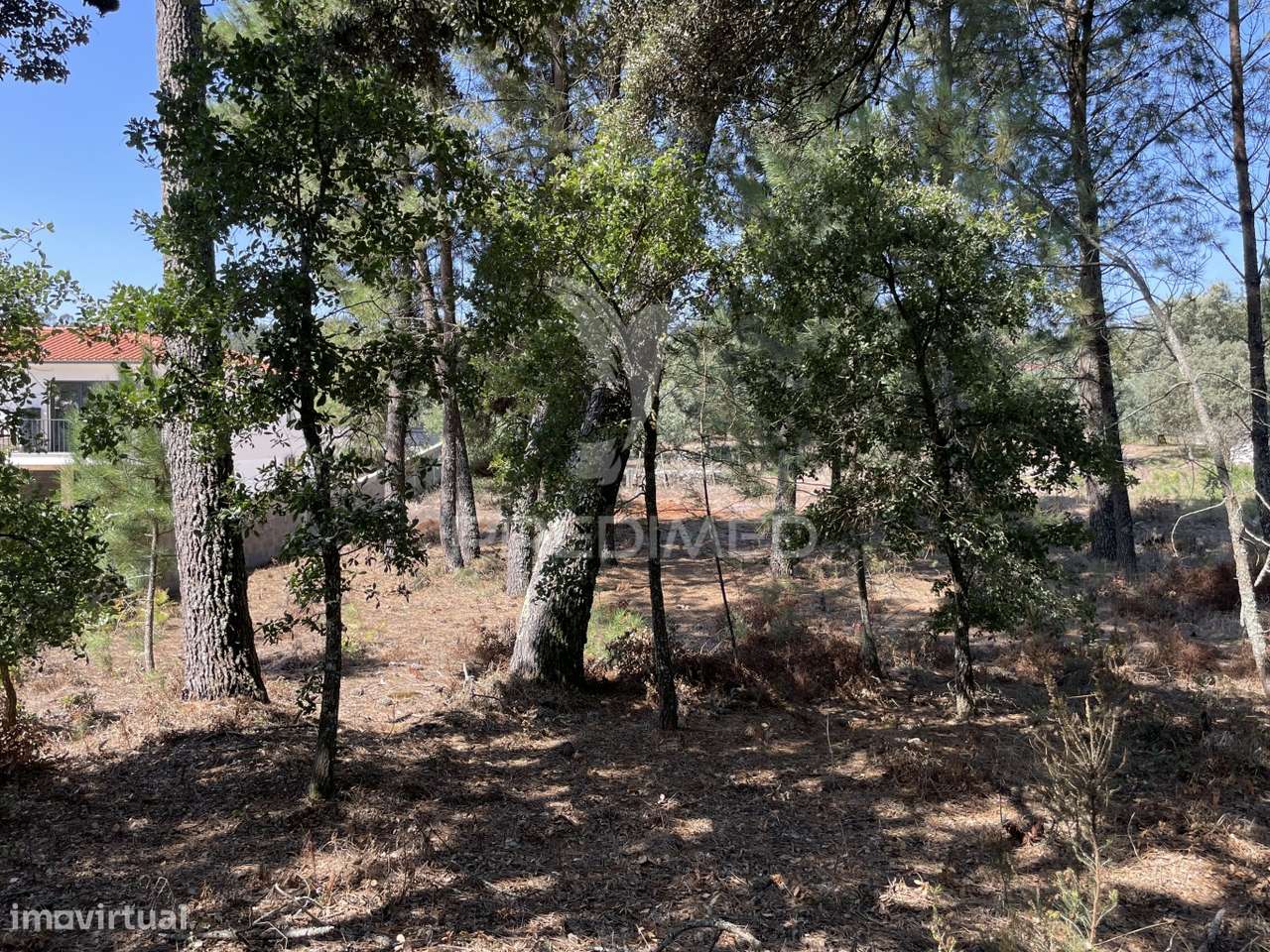 Terreno para construção no Moimento, Fátima - Grande imagem: 4/10