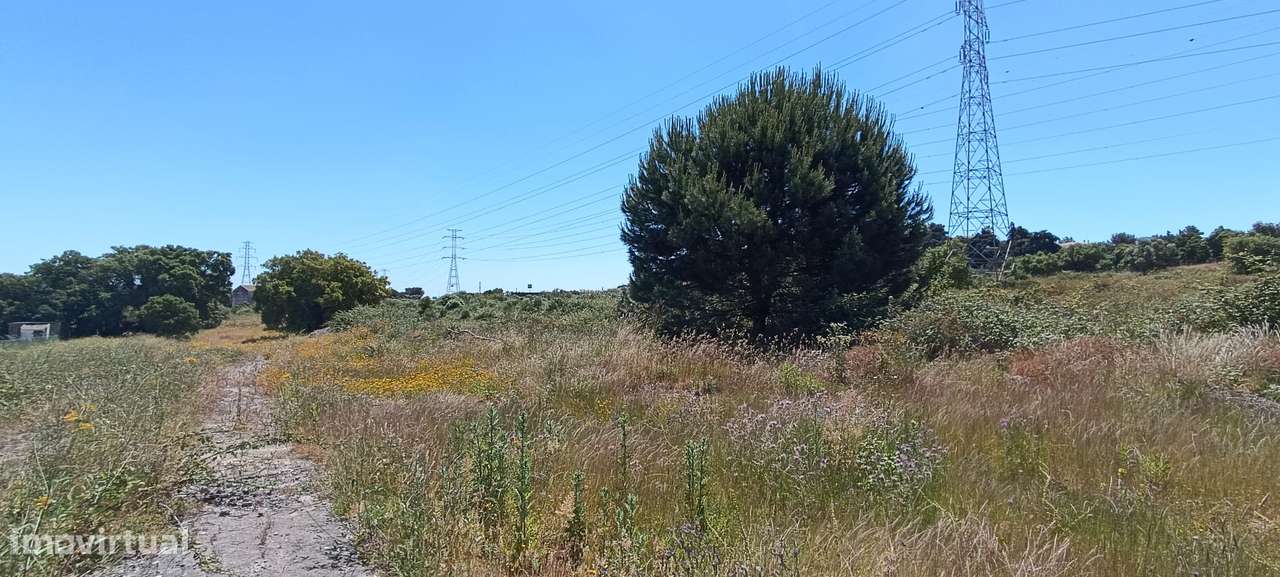 Terreno Rústico – Palmela-16