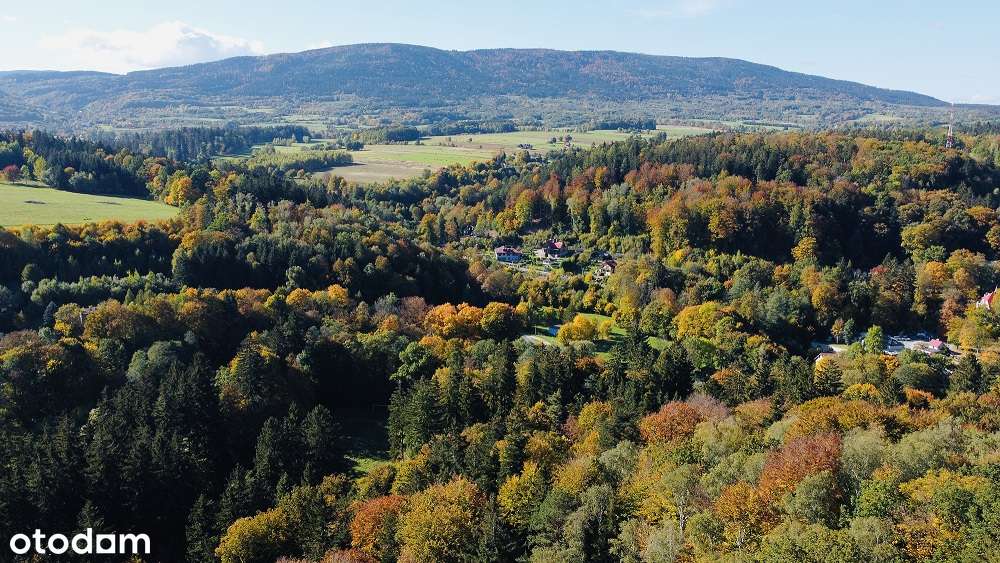 Budowlane | Zieleniec | Czarna Góra - Pełny obrazek: 4/4