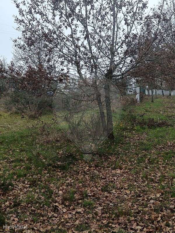 Terreno  para venda - Grande imagem: 3/7