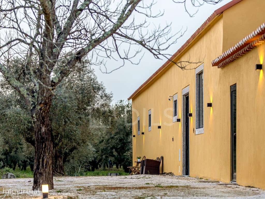 Quinta T9 em Azeitão com piscina e 11 ha de terreno, renovada-54