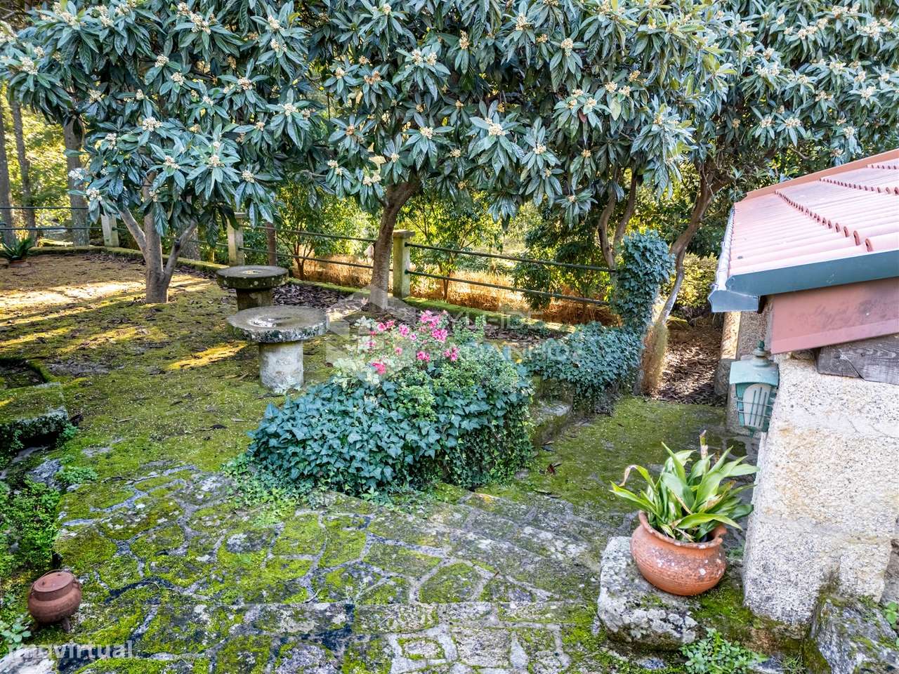 Quinta T3 Venda em Castelo Novo,Fundão-24