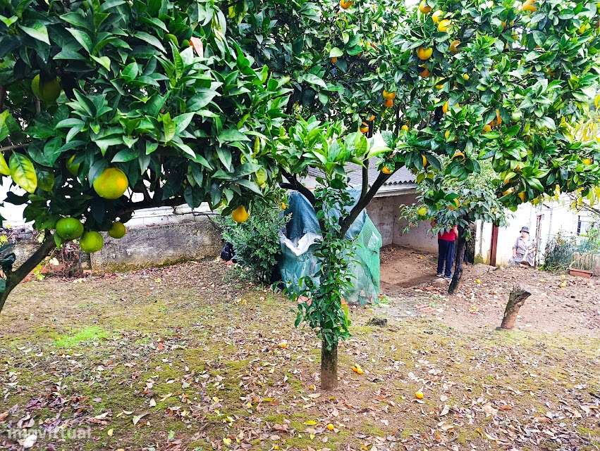 Moradia T3 geminada, com quintal, em Santa Clara, Coimbra-30