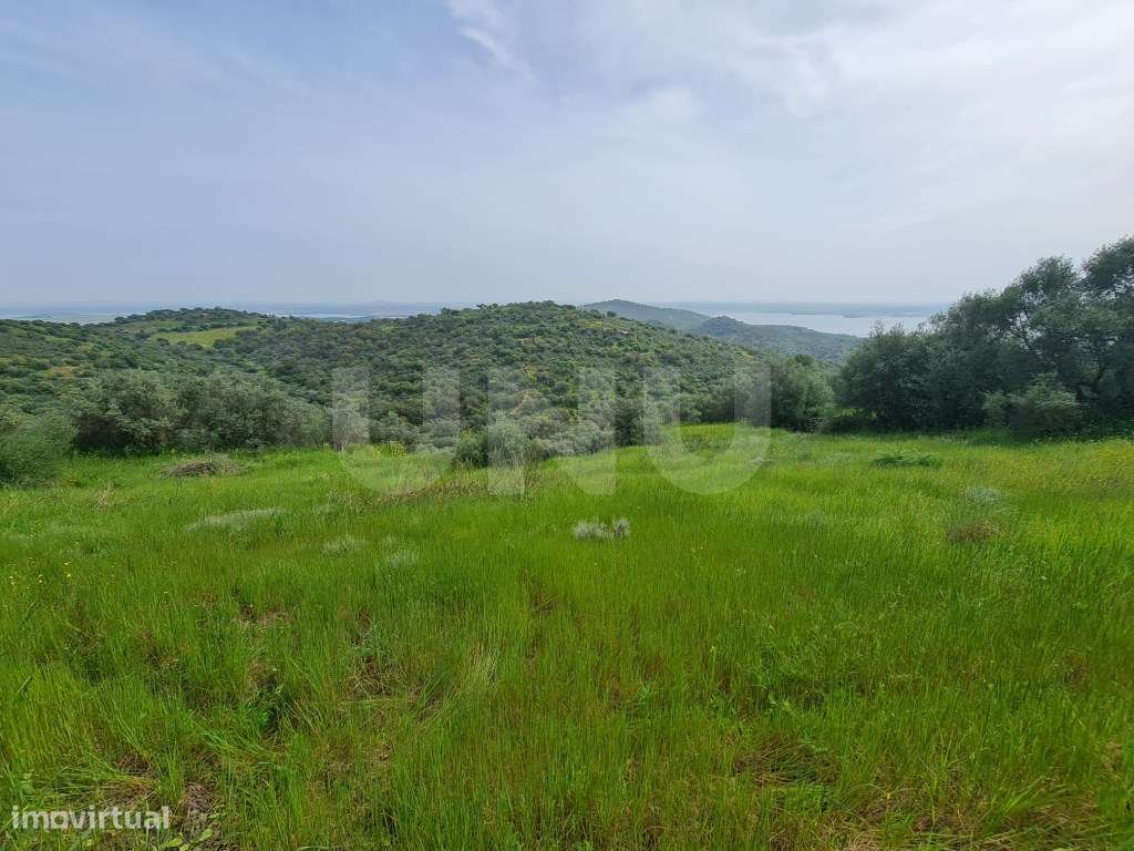Terreno na Encosta do Castelo de Monsaraz-10