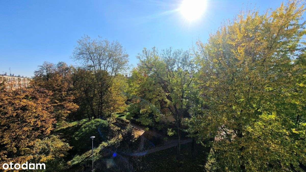 Mieszkanie 2 pok. | po remoncie | os. Albertyńskie-11