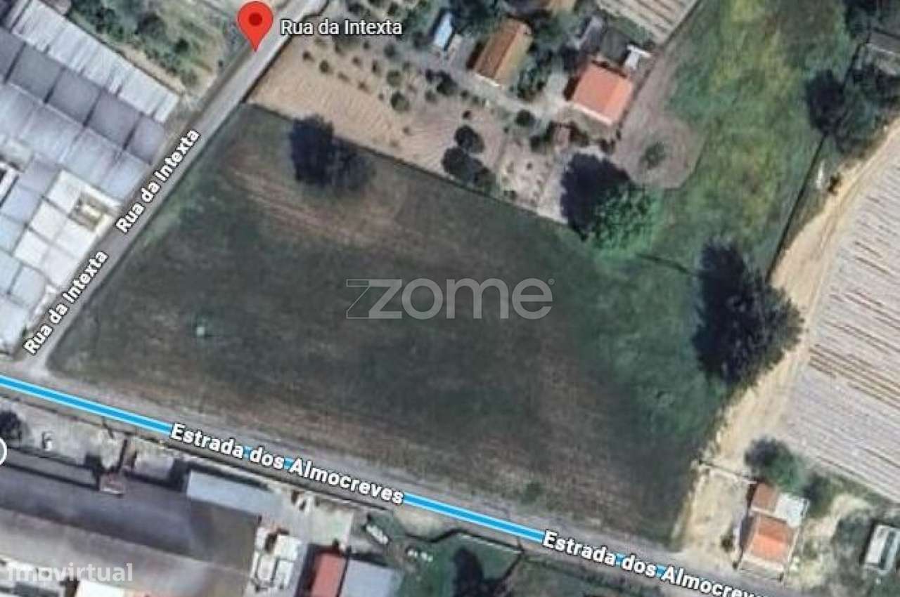 Terreno Rustico | Salvaterra de Magos - Grande imagem: 2/9