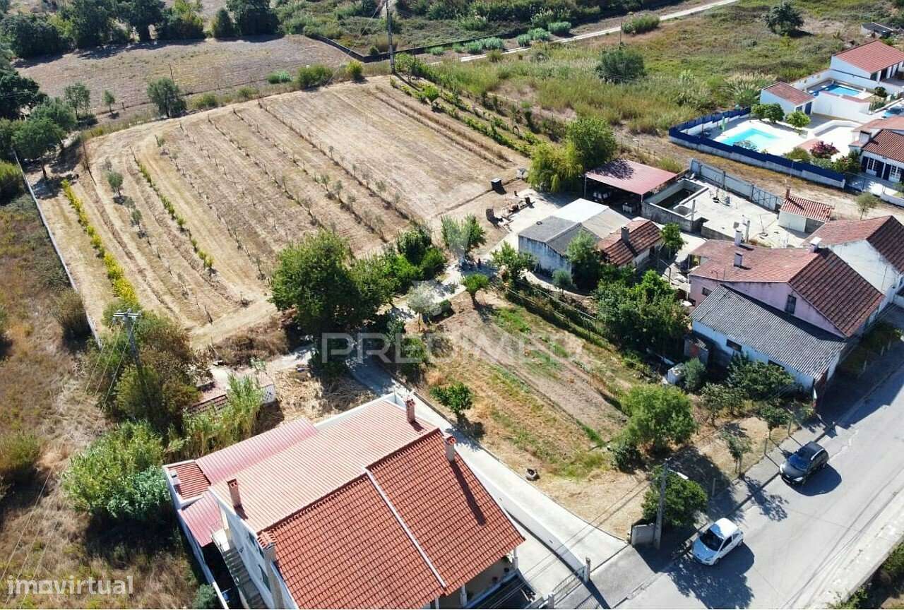 Quintinha em Santarém - Grande imagem: 5/11