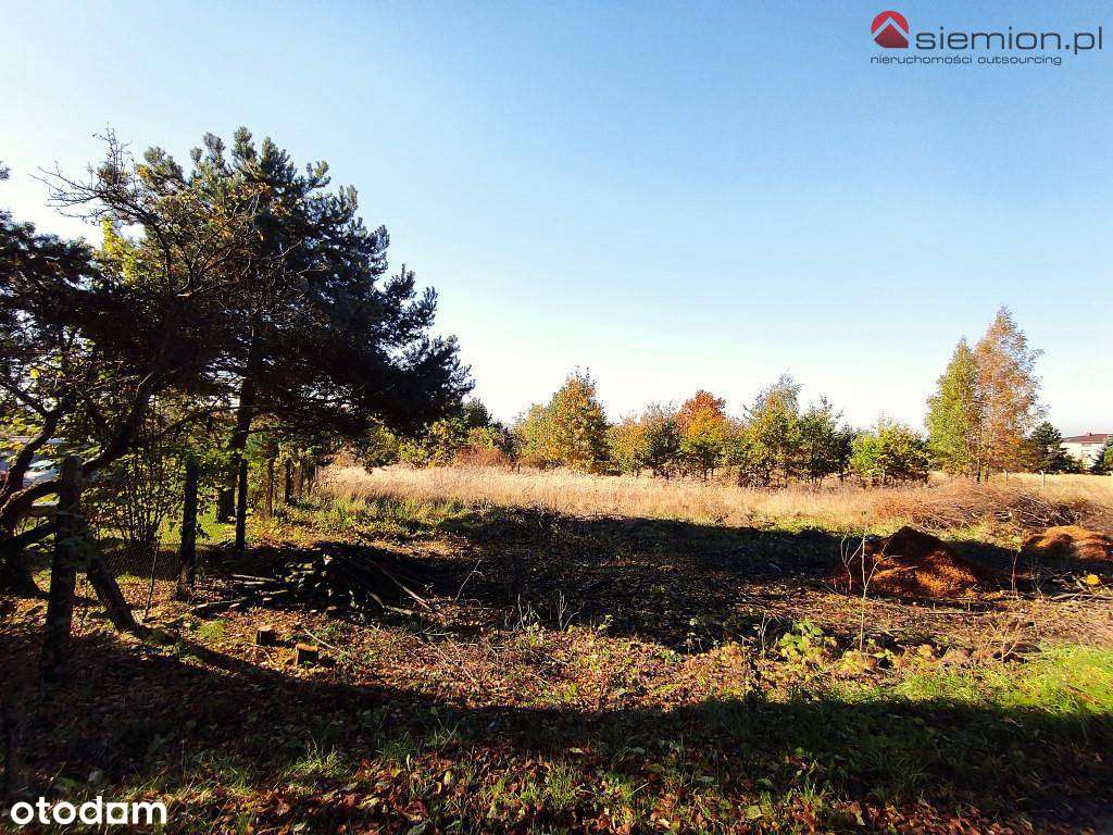 Atrakcyjna działka budowlana Rogoźnik - Pełny obrazek: 2/14