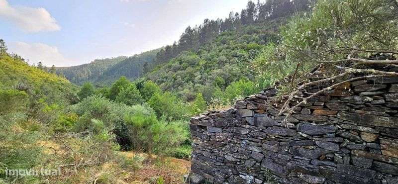 Serra da Estrela 6HC + 2 Ruinas - Grande imagem: 4/12