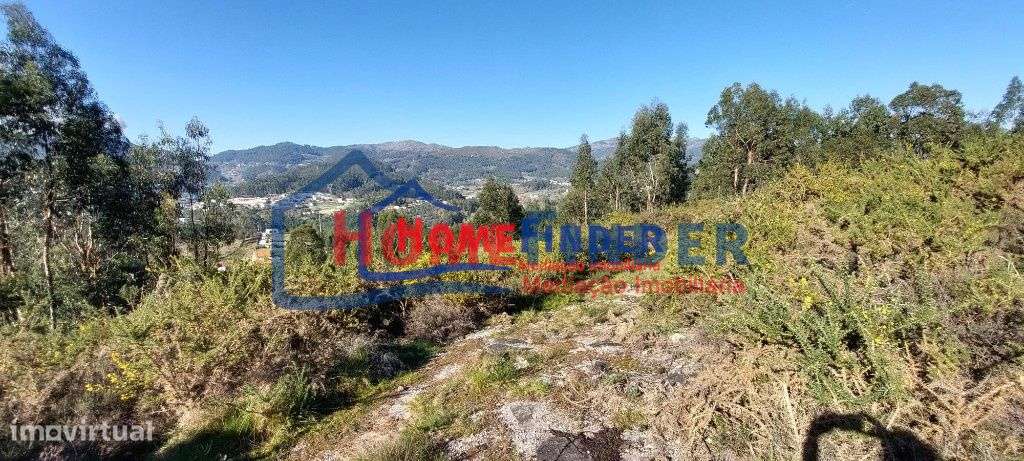 Bouça com 15.000 m² - Póvoa de Lanhoso - Grande imagem: 3/20