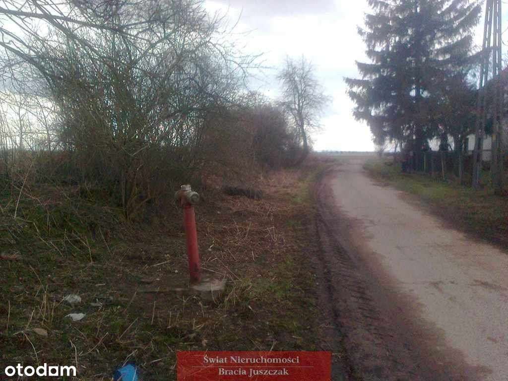 Działka, 3 000 m², Osiek - Pełny obrazek: 4/4