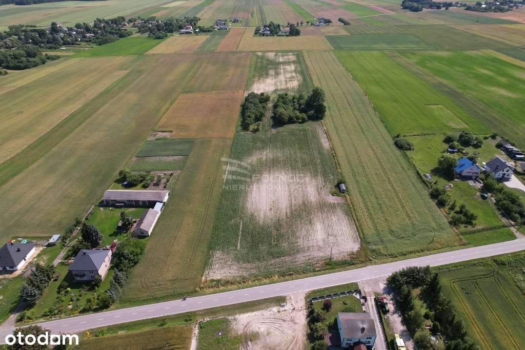 Działka budowlana 29ar. 10 min od Chełma! - Pełny obrazek: 5/6