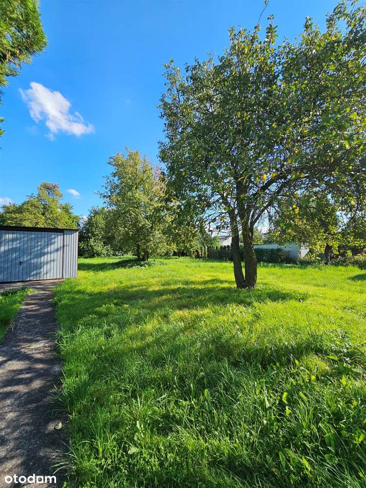 mieszkanie z ogrodem i dodatkową działką - Pełny obrazek: 4/15