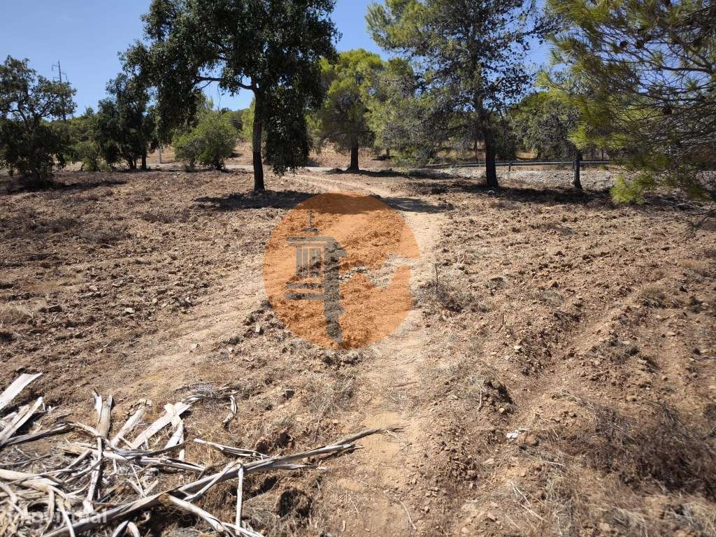 TERRENO RUSTICO COM 22.320 M2 - POSSIBILIDADE DE CONSTRUIR APOIO AG... - Grande imagem: 3/37