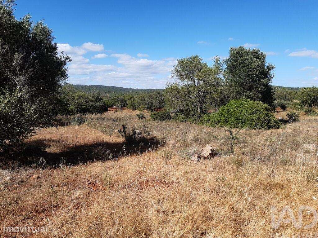 Terreno Agrícola em Alte de 6870,00 m2 - Grande imagem: 5/7