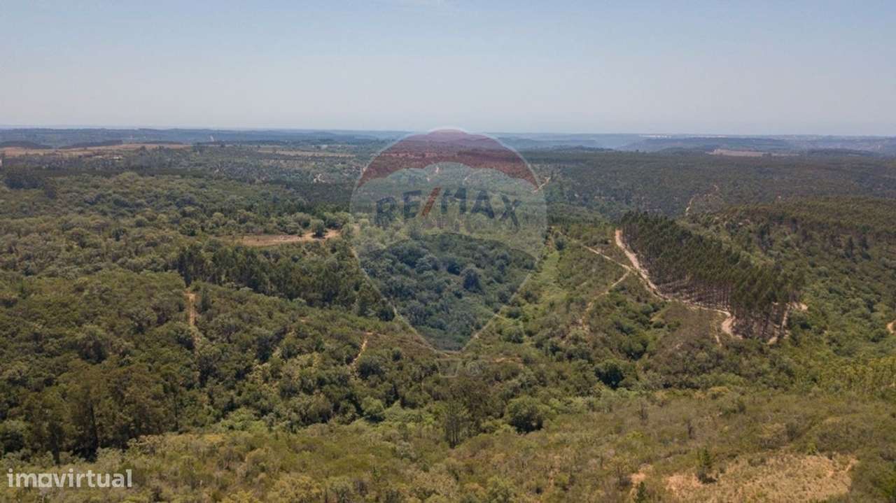 Terreno  para venda - Grande imagem: 5/24